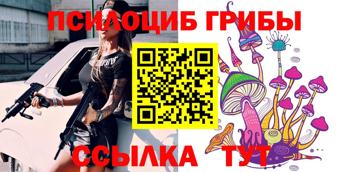 где продают наркотики  Псилоцибиновые грибы мухоморы  Назарово  Вход с VPN  Псилоцибиновые грибы Cubensis 